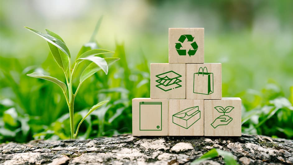 분해 가능하고 친환경적입니다