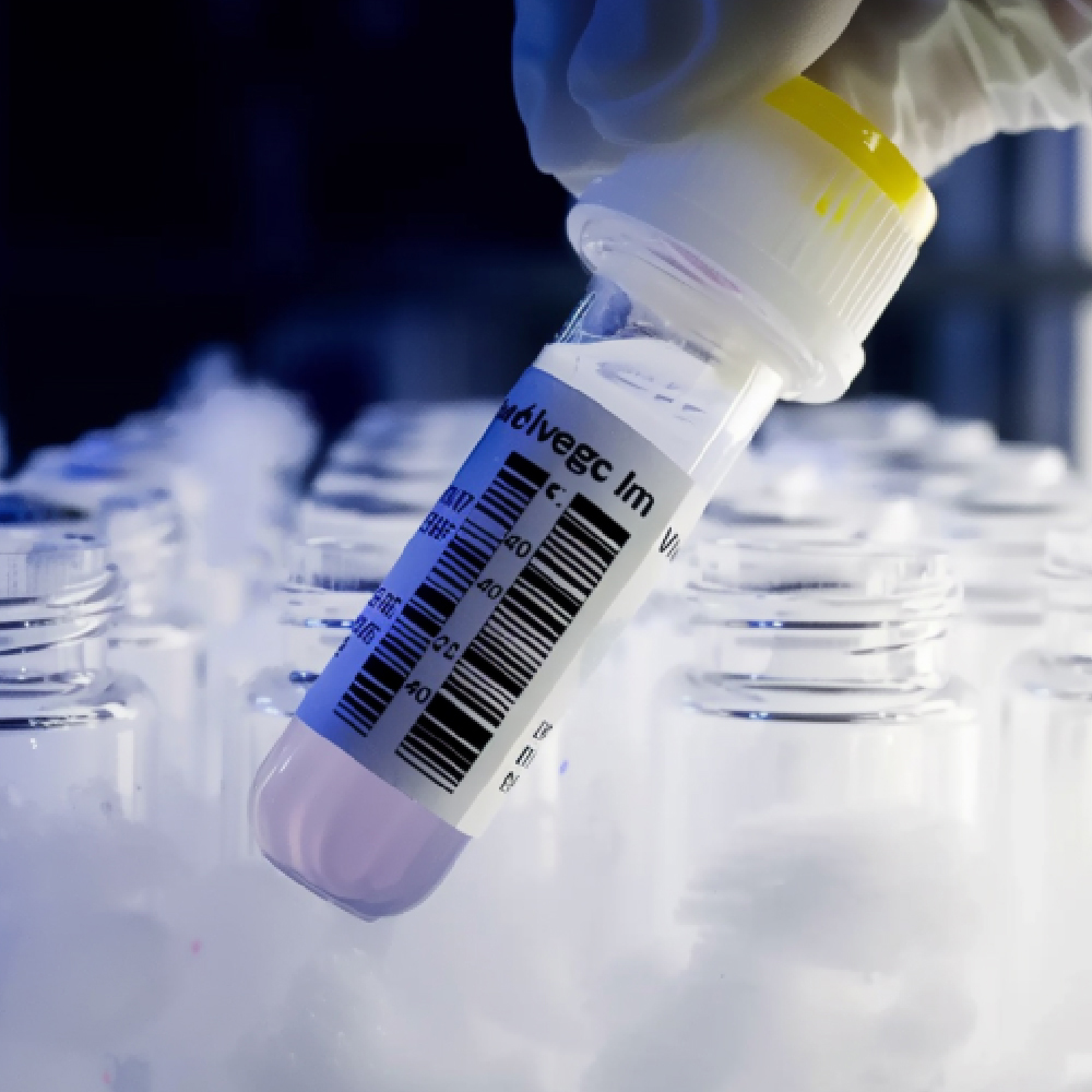 의료용 냉동 등급